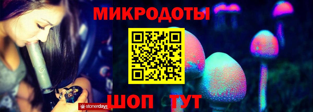 Галлюциногенные грибы Psilocybine cubensis Усть-Джегута